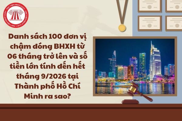 Pháp luật