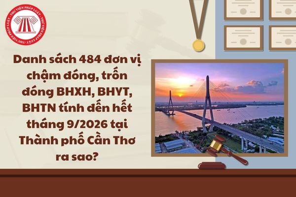 Pháp luật