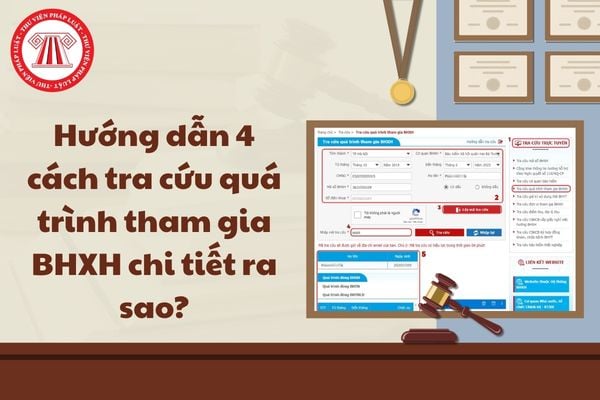 Pháp luật