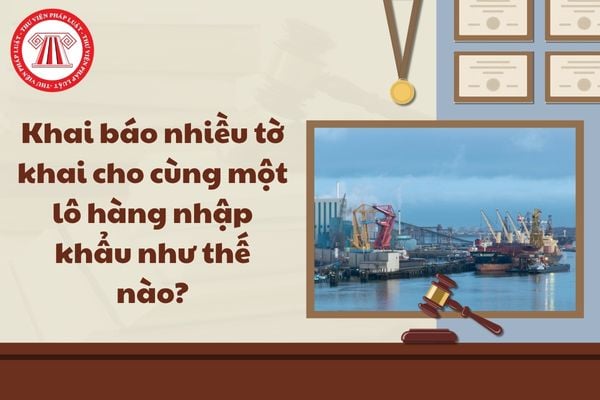 Pháp luật
