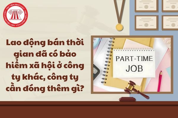 Pháp luật