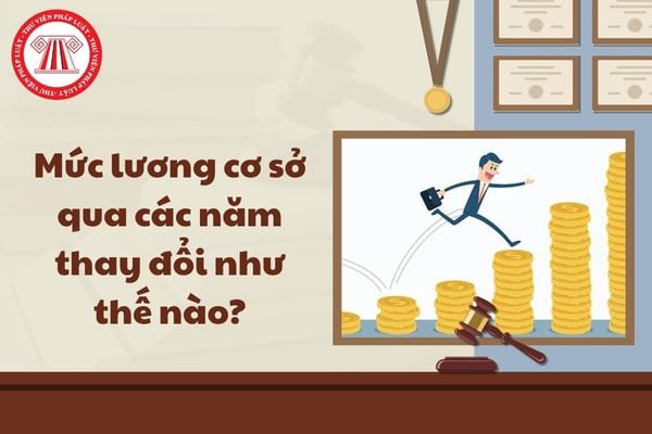 Pháp luật