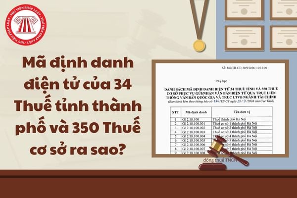 Pháp luật