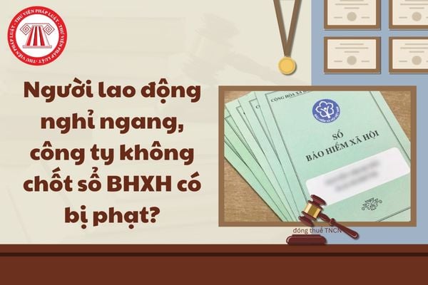 Pháp luật