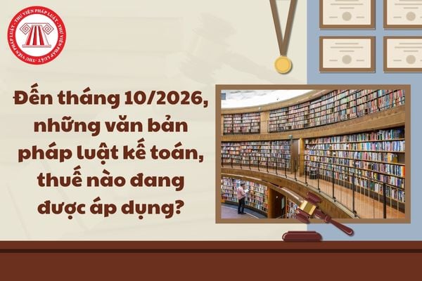 Pháp luật