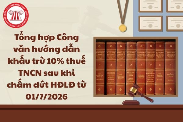 Pháp luật