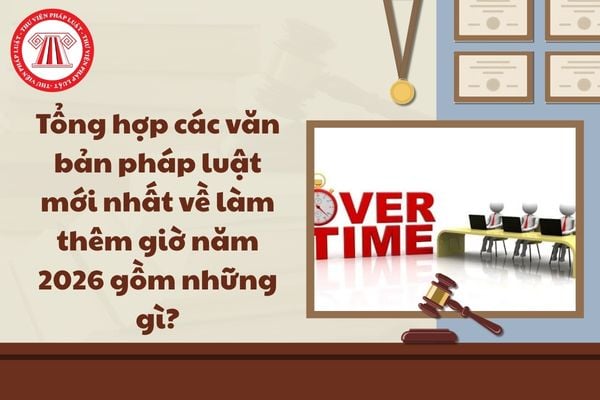Pháp luật