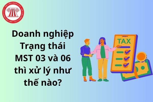 Pháp luật