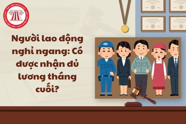 Pháp luật