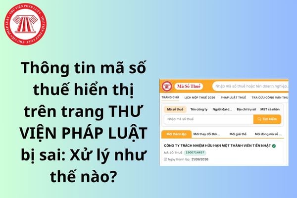 Pháp luật