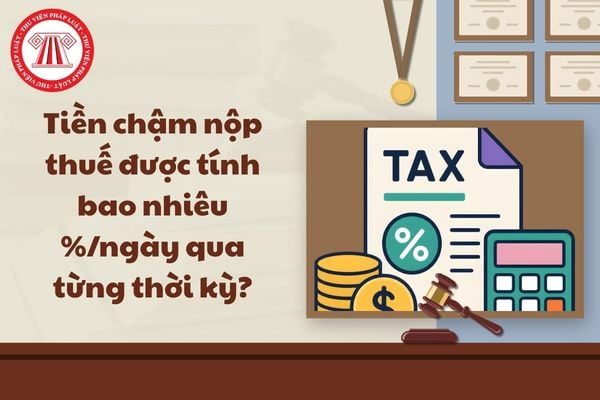 Pháp luật