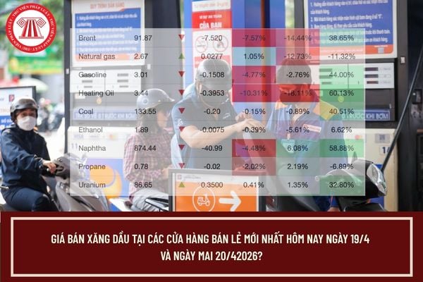 Pháp luật