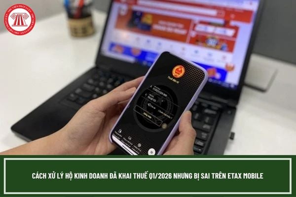 Cách xử lý hộ kinh doanh đã khai thuế Q1/2026 nhưng bị sai trên Etax Mobile?