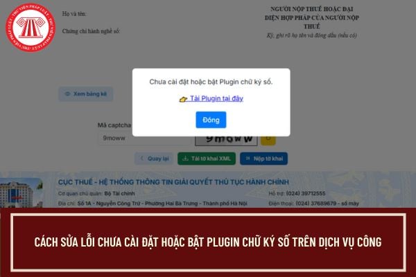 Pháp luật