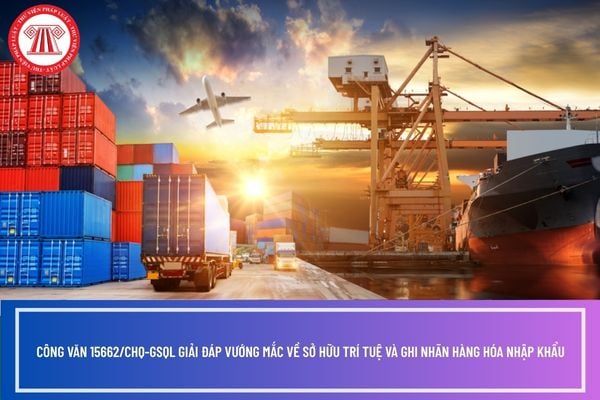 Công văn 15662/CHQ-GSQL giải đáp vướng mắc về sở hữu trí tuệ và ghi nhãn hàng hóa nhập khẩu? (Hình từ Internet)