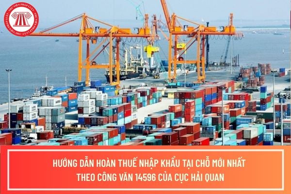Pháp luật