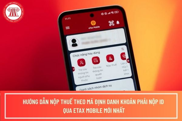 Pháp luật