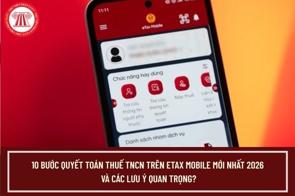 Pháp luật