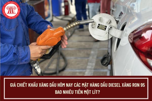 Pháp luật