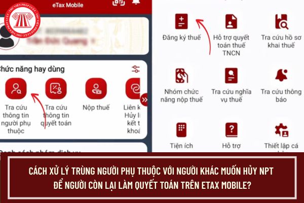 Pháp luật