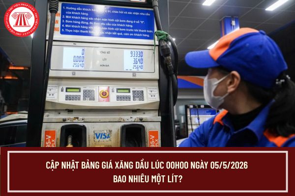 Pháp luật