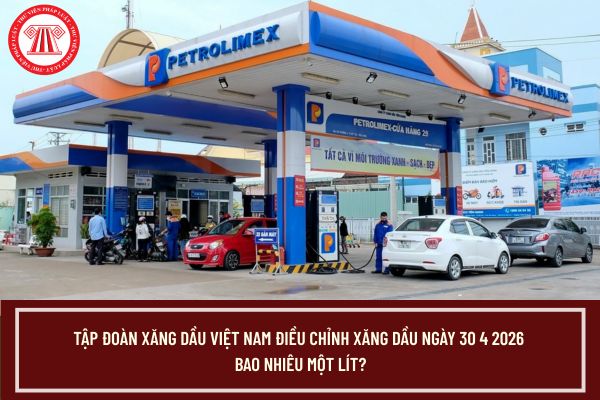 Pháp luật