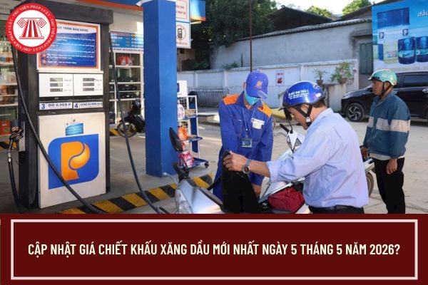 Pháp luật