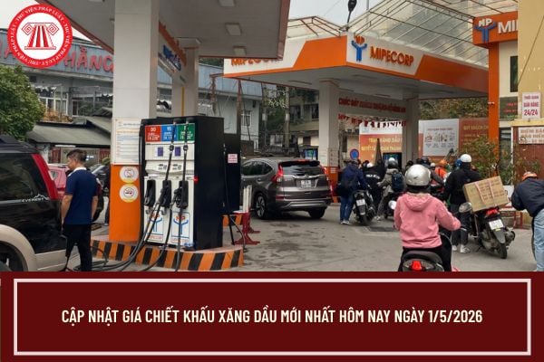 Pháp luật