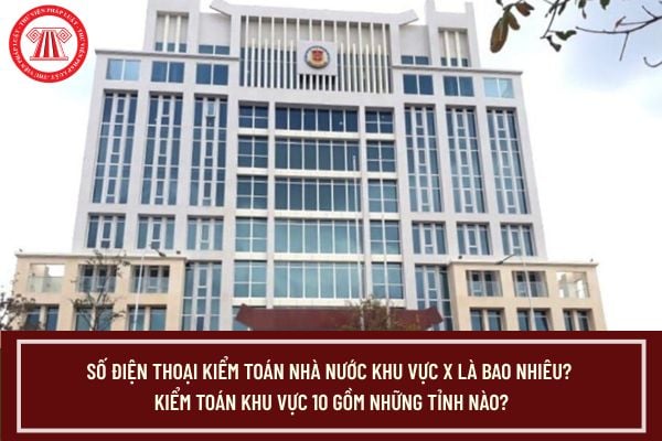 Pháp luật