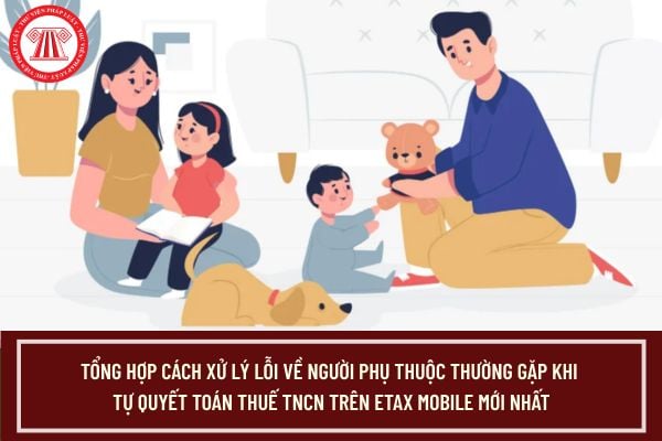Pháp luật
