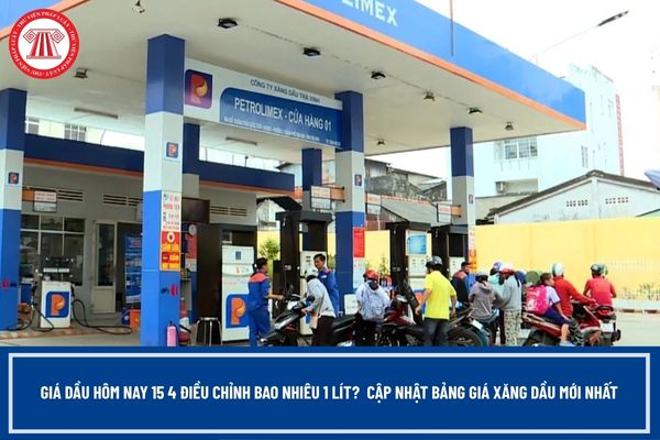 Pháp luật