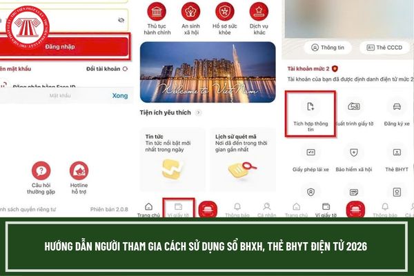 Pháp luật