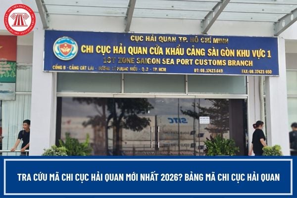 Pháp luật