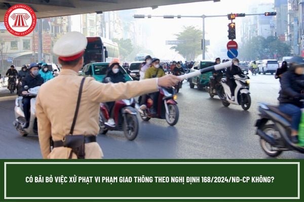 Pháp luật