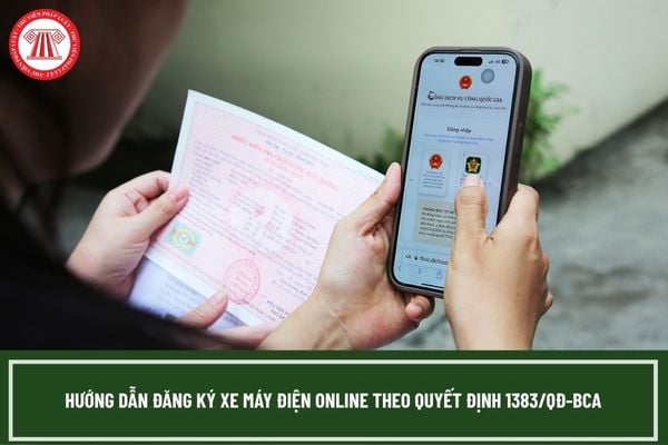 Pháp luật