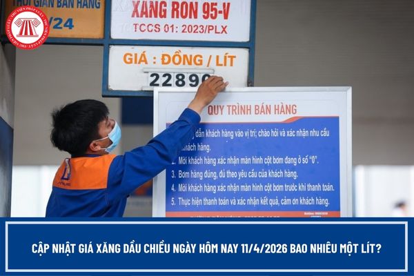 Pháp luật