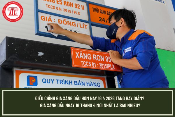 Pháp luật