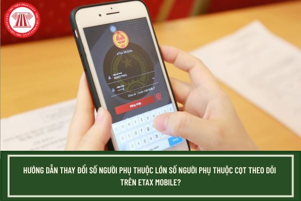 Pháp luật