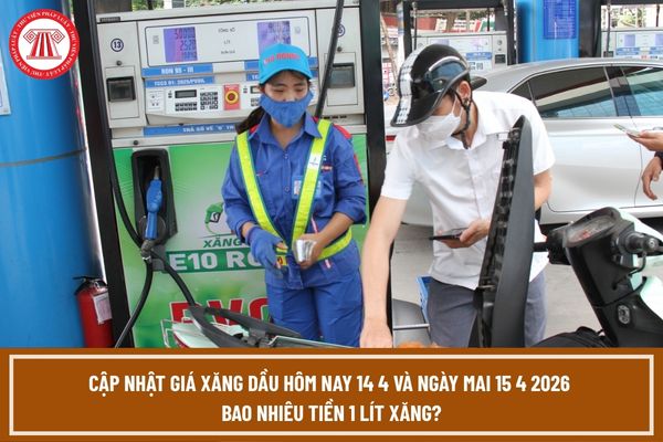 Pháp luật