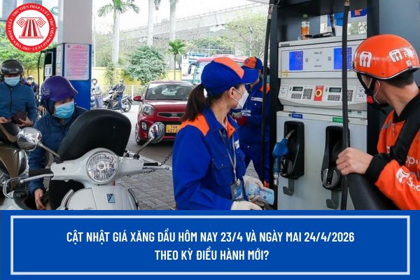 Pháp luật