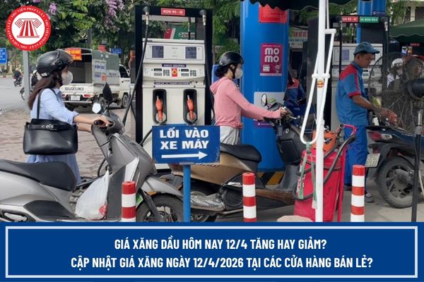 Pháp luật