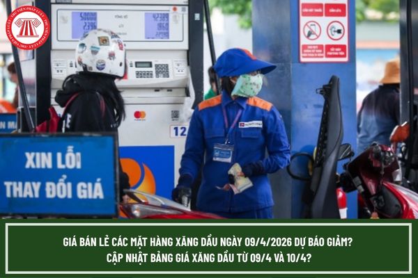 Pháp luật