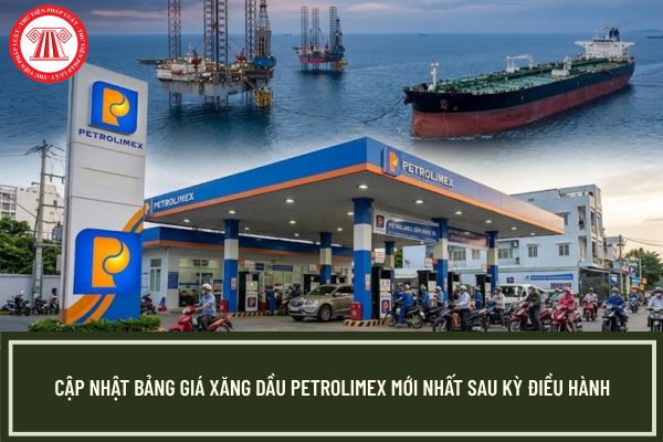 Pháp luật