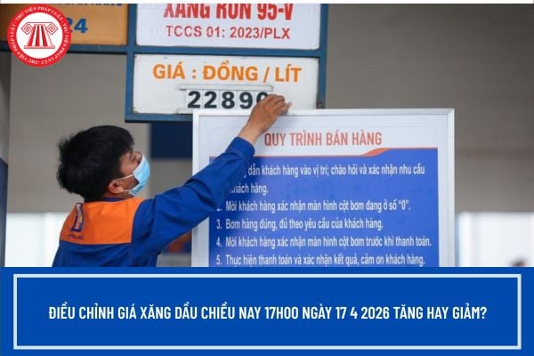 Pháp luật
