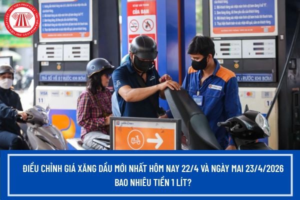 Pháp luật