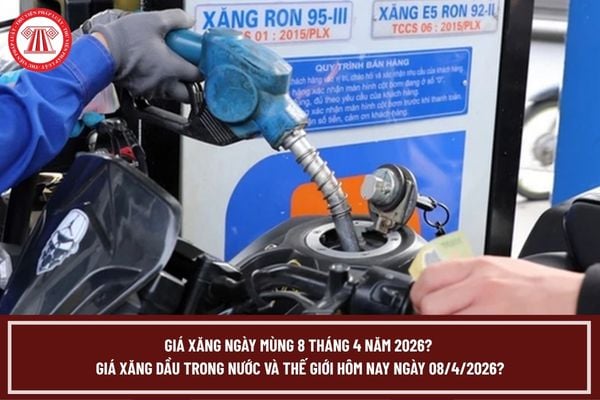 Pháp luật