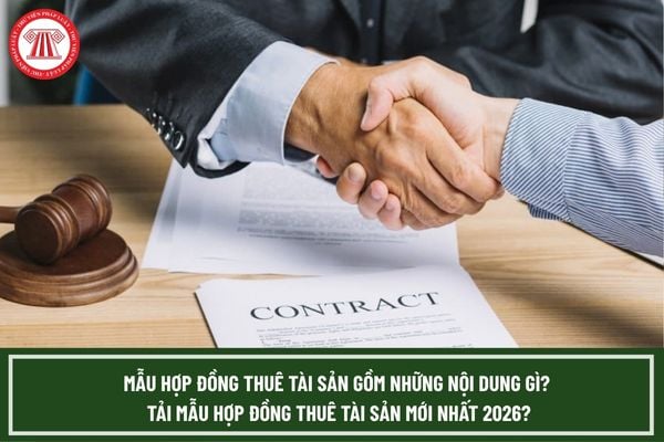 Pháp luật