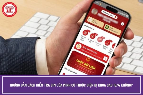 Pháp luật