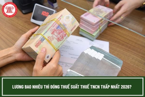 Pháp luật