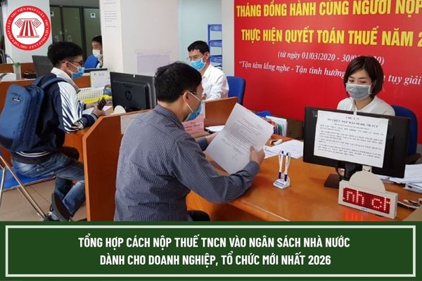 Pháp luật